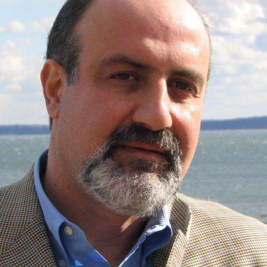 Nassim Nicholas Taleb: Күркетауық трагедиясы: Статистиканың алдауы