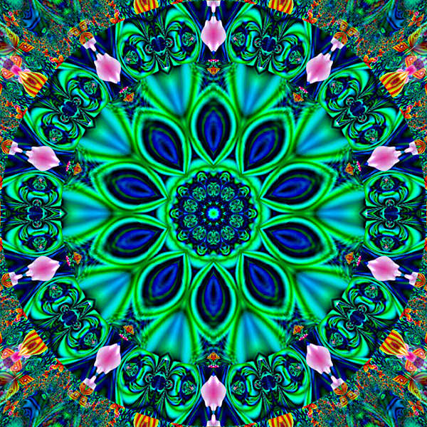 Adriatikus Založba d.o.o.: Интуиция мен интеллект: Поллан ілімі жазушыға не береді?