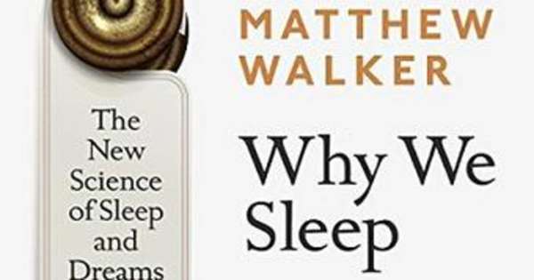 Matthew Walker: Лабораториядағы алғашқы таң: Ғалымның жолы қалай басталды?