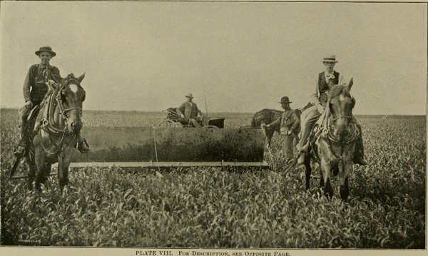 Esther Perel: «Үйкеліссіз» махаббат несімен қауіпті?