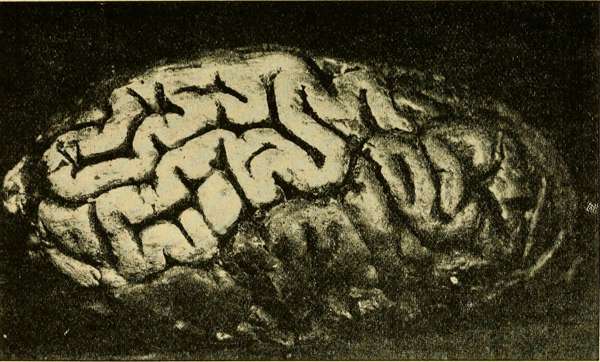 Jonathan Haidt: Алдыңғы камера және «Лайк» түймесі: Психологиялық мина
