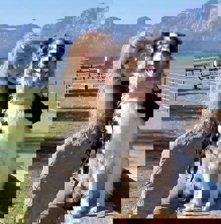 «Сұйық алтын» философиясы: Кэл Оридің табиғи ем концепциясы неге жас оқырман үшін маңызды?