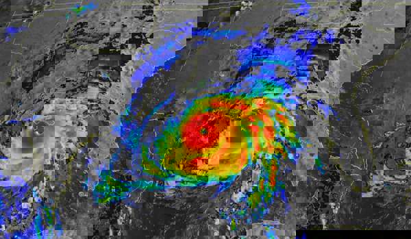 Jon Zawislak Apiculture Instructor University: Ұя қалай «ойланады»? Ұжымдық интеллект құпиясы