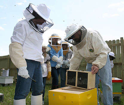 Jon Zawislak Apiculture Instructor University: Хантсвиллдегі салқын таң: Ғылымның салмағы